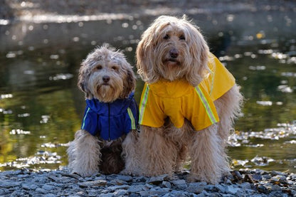 RainPaw Reflecterende Hondenregenjas – Droog, Veilig en Comfortabel in Elk Weer